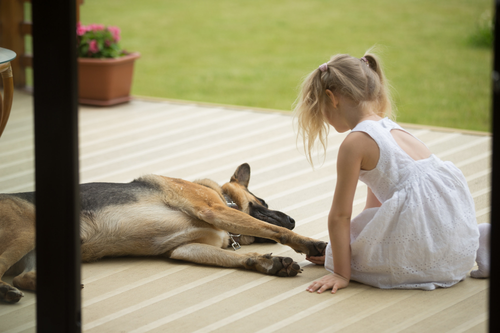 little girl holding dogs paw sitting near pet porch 1